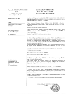 26-2025 ABONNEMENT PANNEAU POCKET
